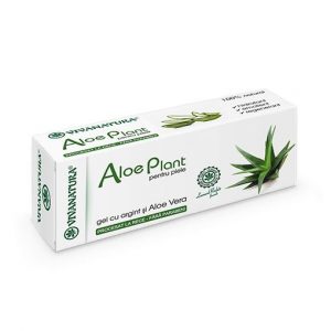 Aloe-Plant_Vivanatura